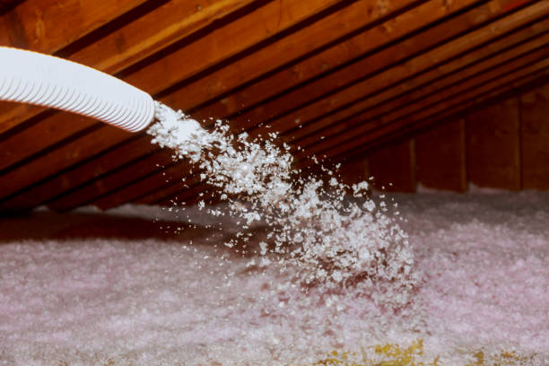 Best Specialized Insulation Services in Live Oak, FL