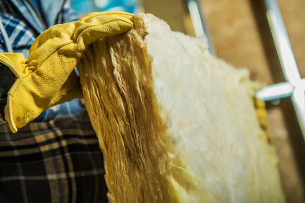 Types of Insulation We Offer in Live Oak, FL