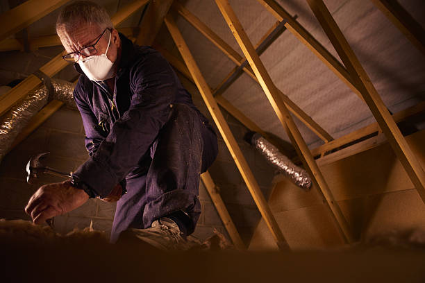Best DIY Insulation Kits and Guidance in Live Oak, FL
