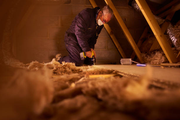 Professional Insulation Contractor in Live Oak, FL